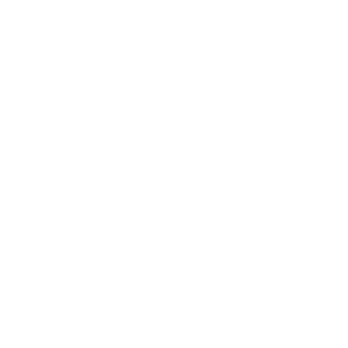 Vision Sana eyewear